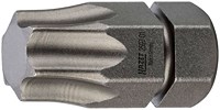 Bit - Sechskant 8 mm (5/16 Zoll) - Innen TORX® Profil - T45