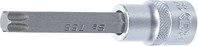 Bit-Einsatz - Länge 100 mm - 1/2" - T-Profil (für Torx) T55