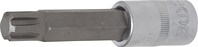 Bit-Einsatz - Länge 100 mm - 1/2" - Keil-Profil (für RIBE) M14
