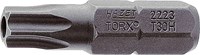 Bit - Sechskant 1/4" - Tamper Resistant TORX® Profil - T20H