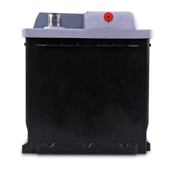 Enva Starterbatterie 100 Ah 900 A 10850165 günstig online kaufen